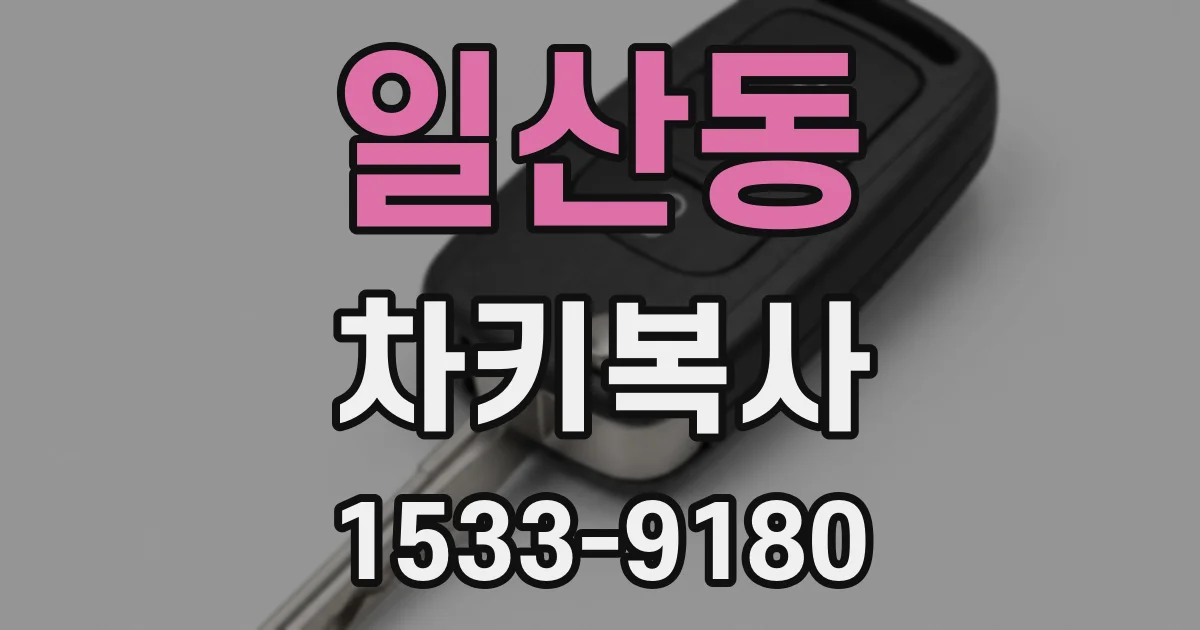 일산동 차키복사