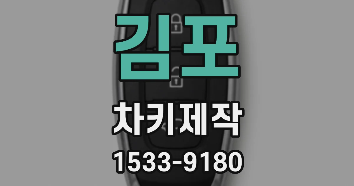 김포 차키제작