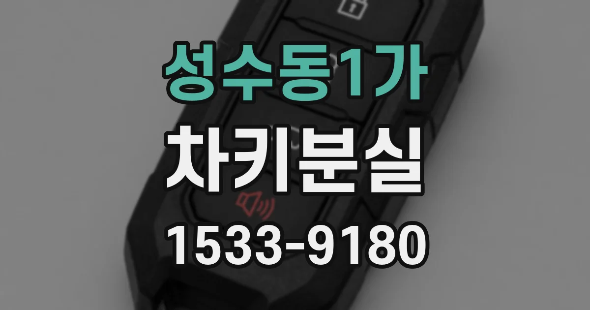 성수동1가 차키분실