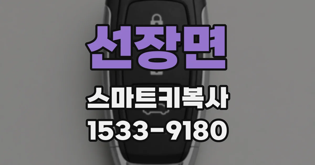 선장면 스마트키복사