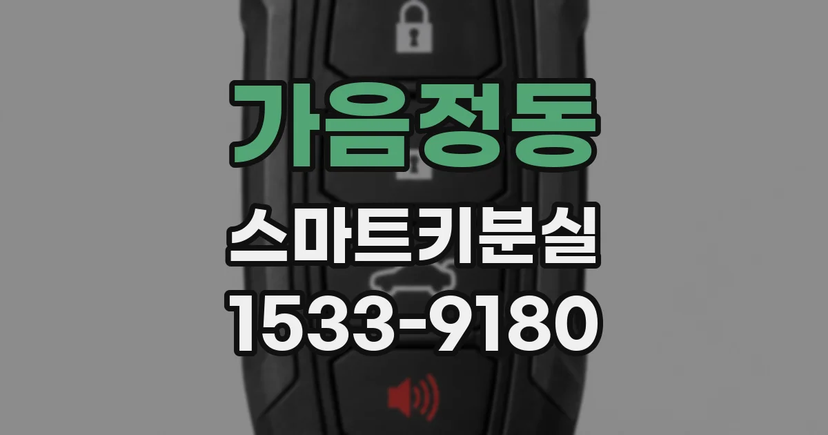 가음정동 스마트키분실