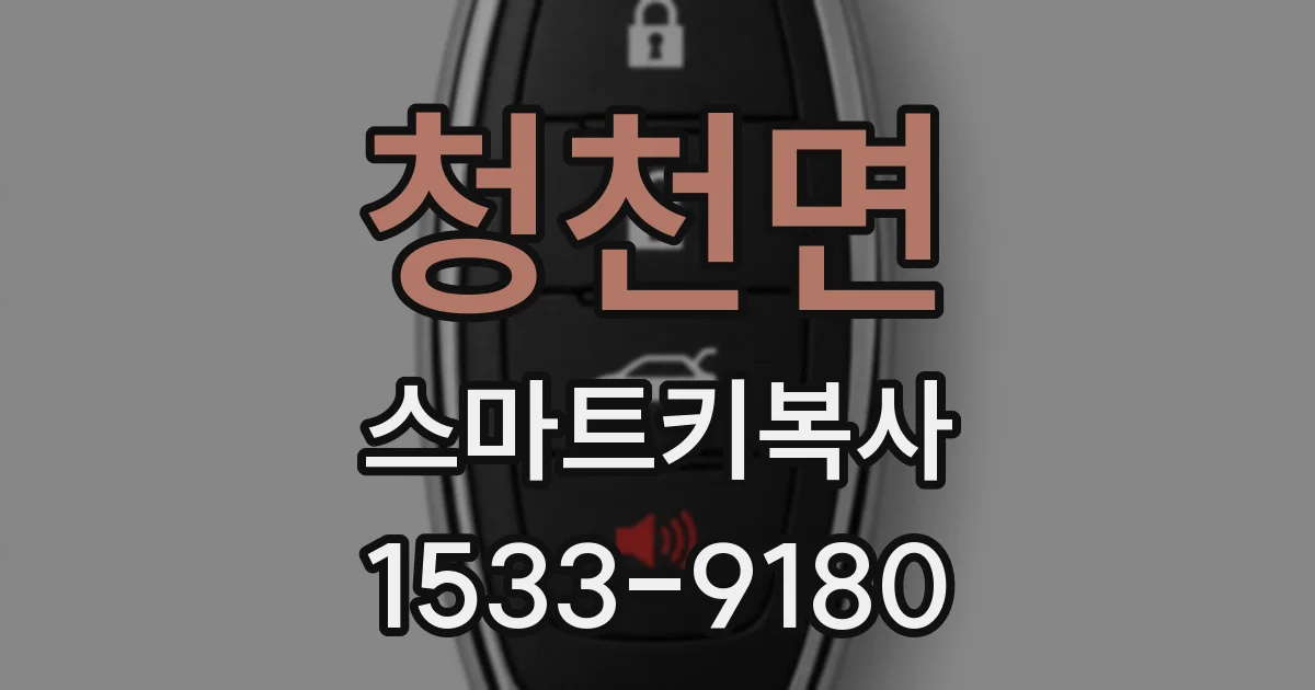 청천면 스마트키복사