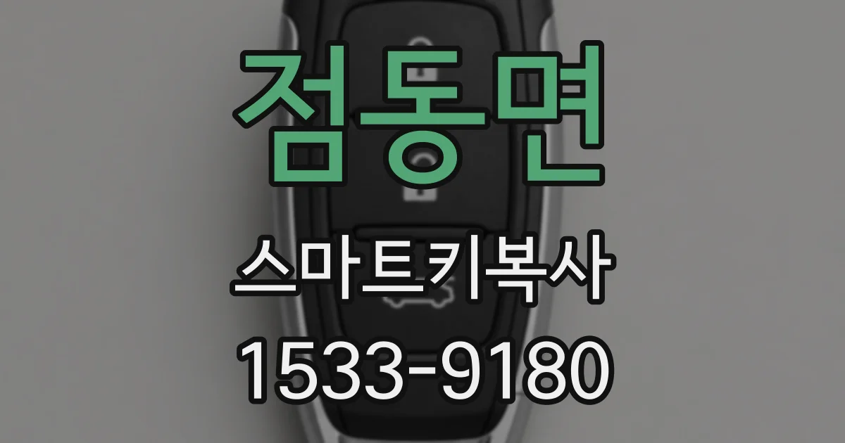 점동면 스마트키복사