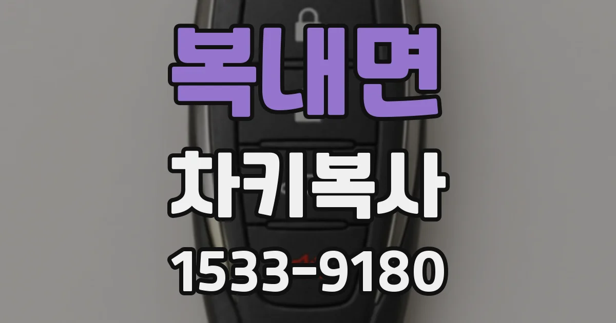 복내면 차키복사