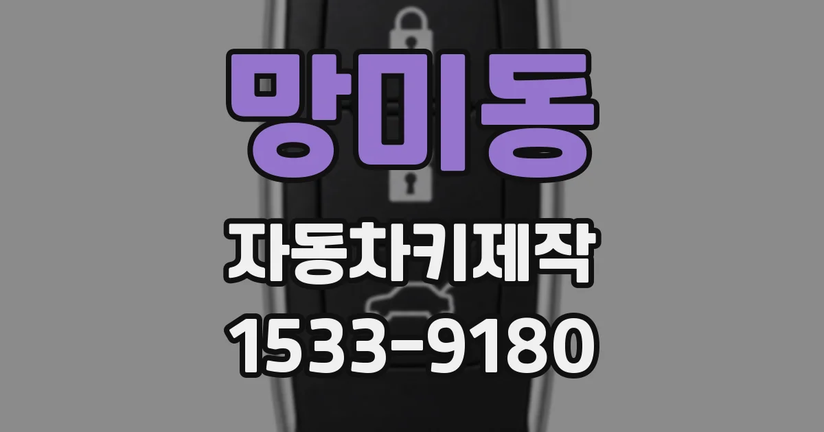 망미동 자동차키제작