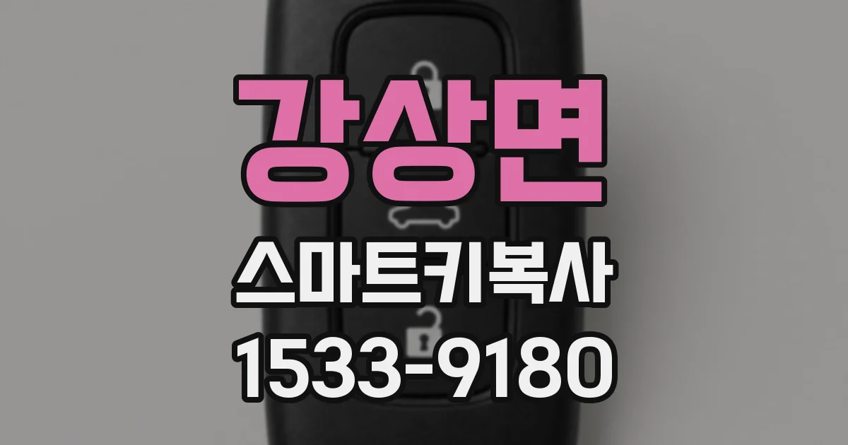 강상면 스마트키복사