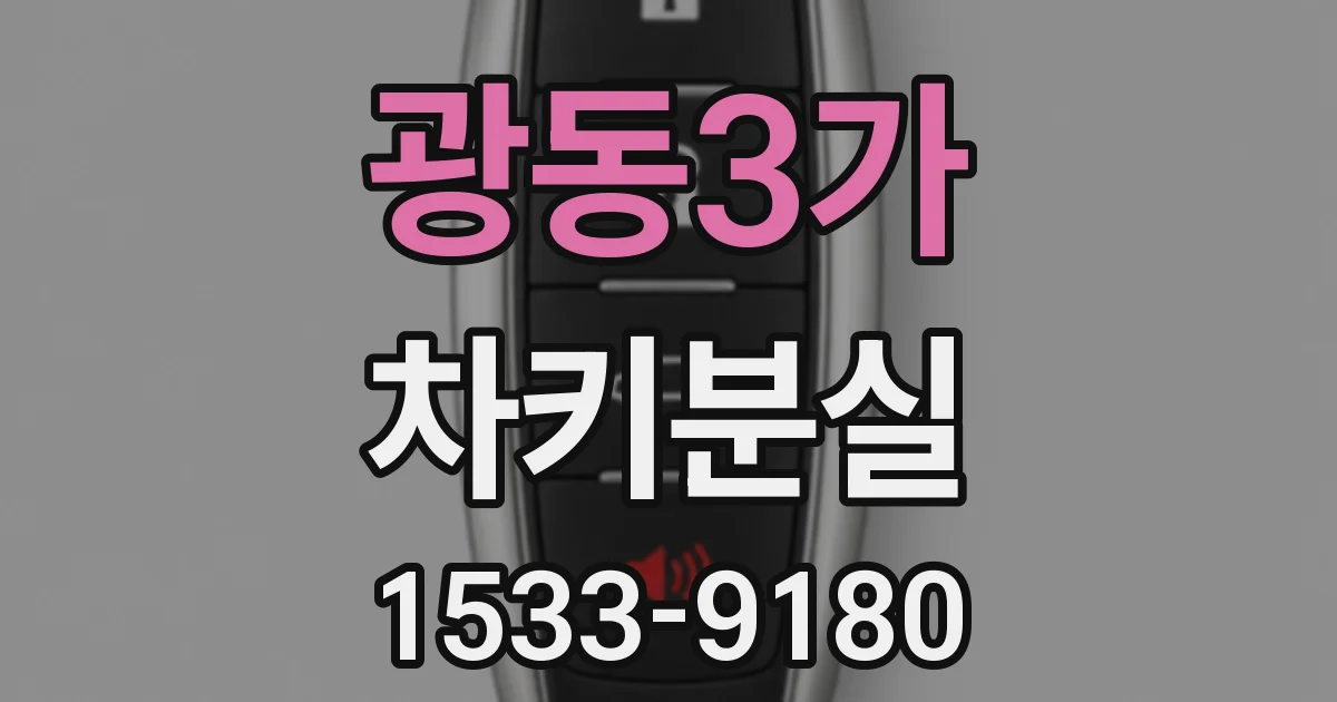 광동3가 차키분실