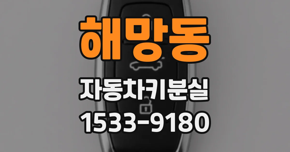 해망동 자동차키분실