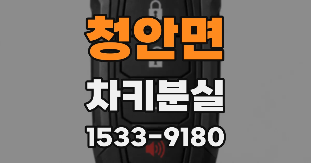 청안면 차키분실