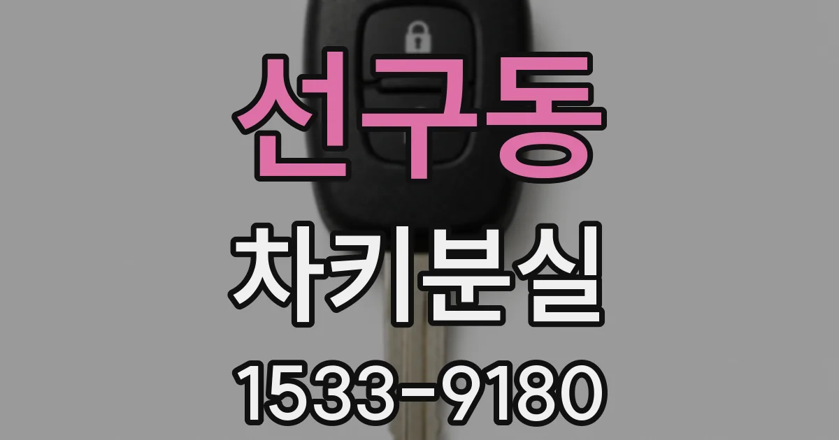 선구동 차키분실
