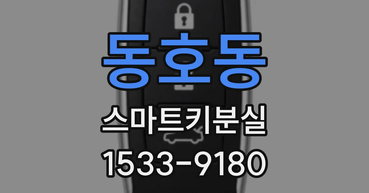 동호동 스마트키분실