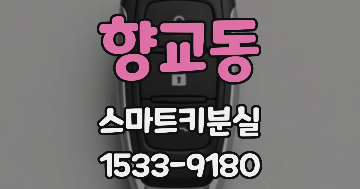 향교동 스마트키분실