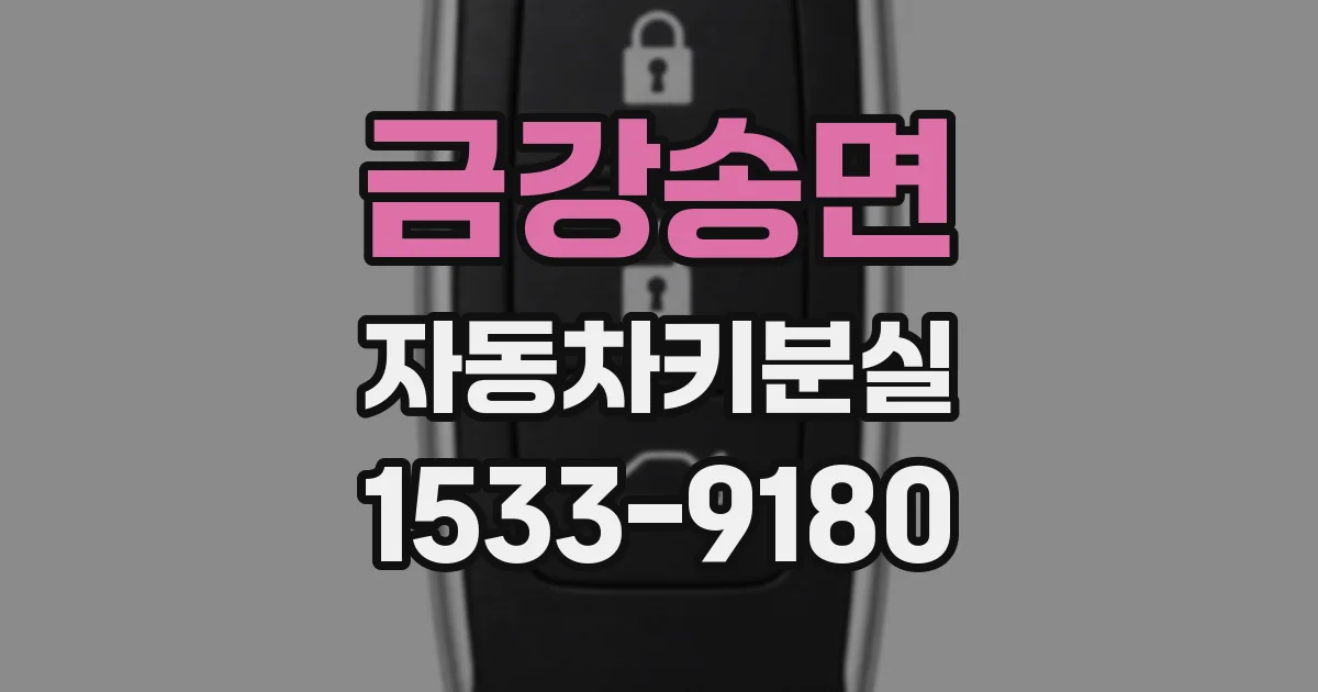 금강송면 자동차키분실