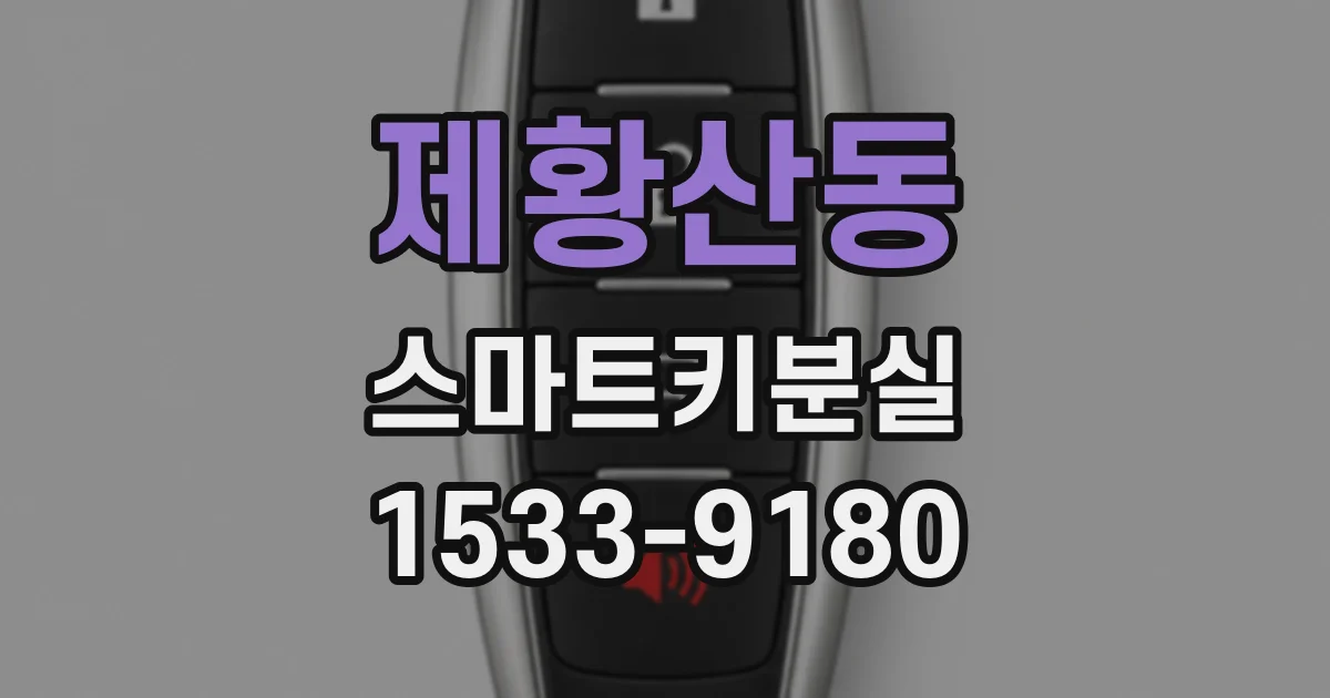 제황산동 스마트키분실