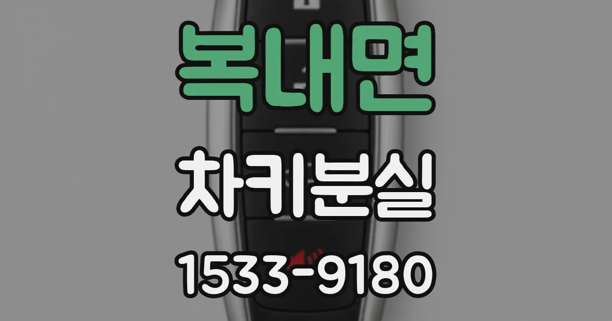 복내면 차키분실