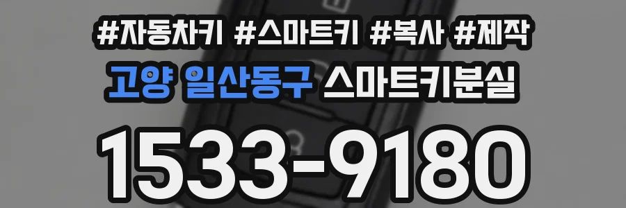 고양 일산동구 스마트키분실