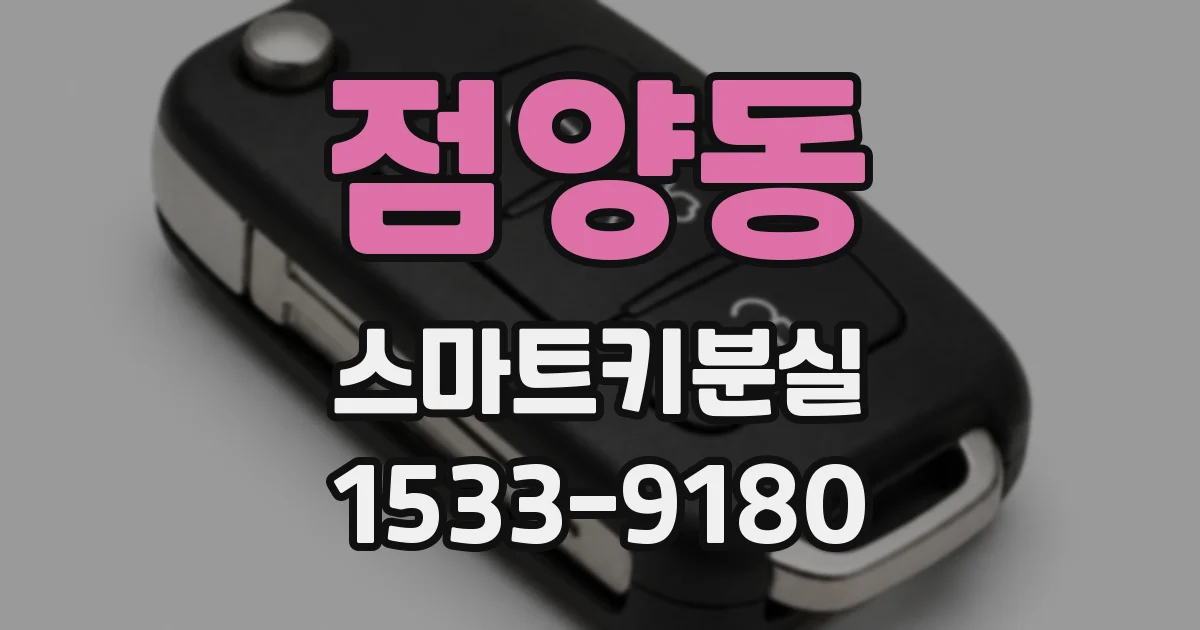점양동 스마트키분실