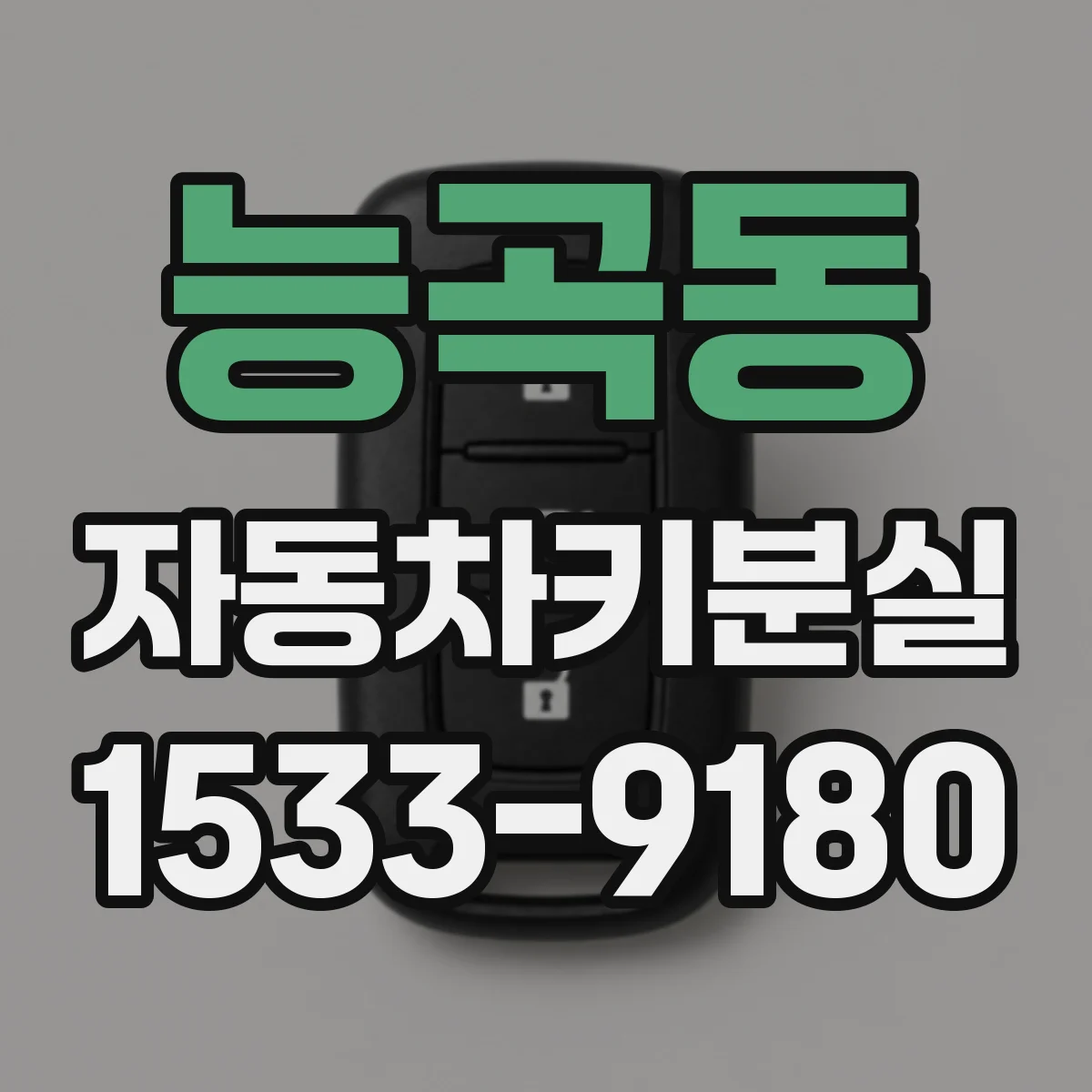 능곡동 자동차키분실