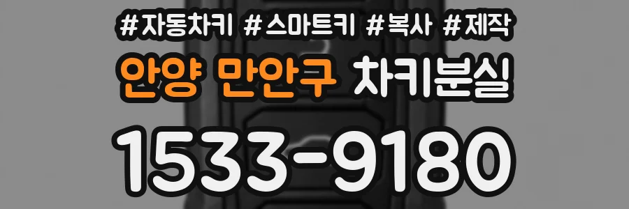 안양 만안구 차키분실
