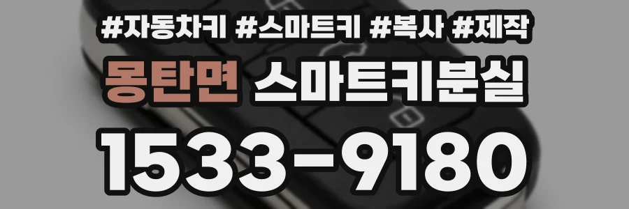 몽탄면 스마트키분실