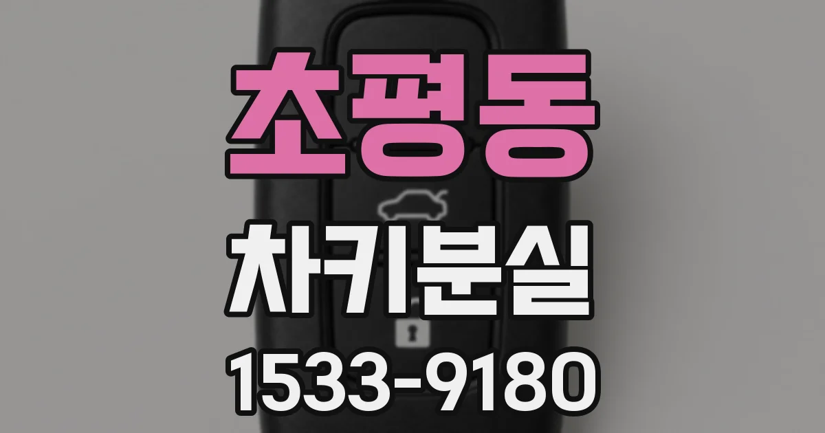 초평동 차키분실