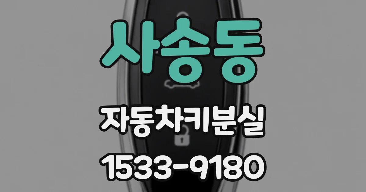 사송동 자동차키분실