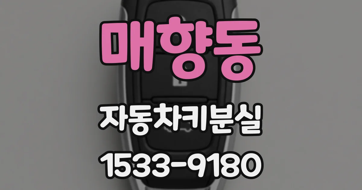 매향동 자동차키분실
