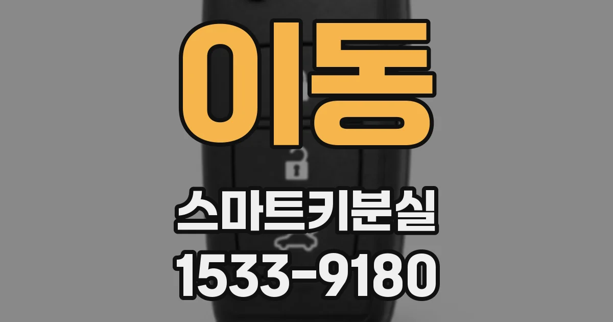 이동 스마트키분실