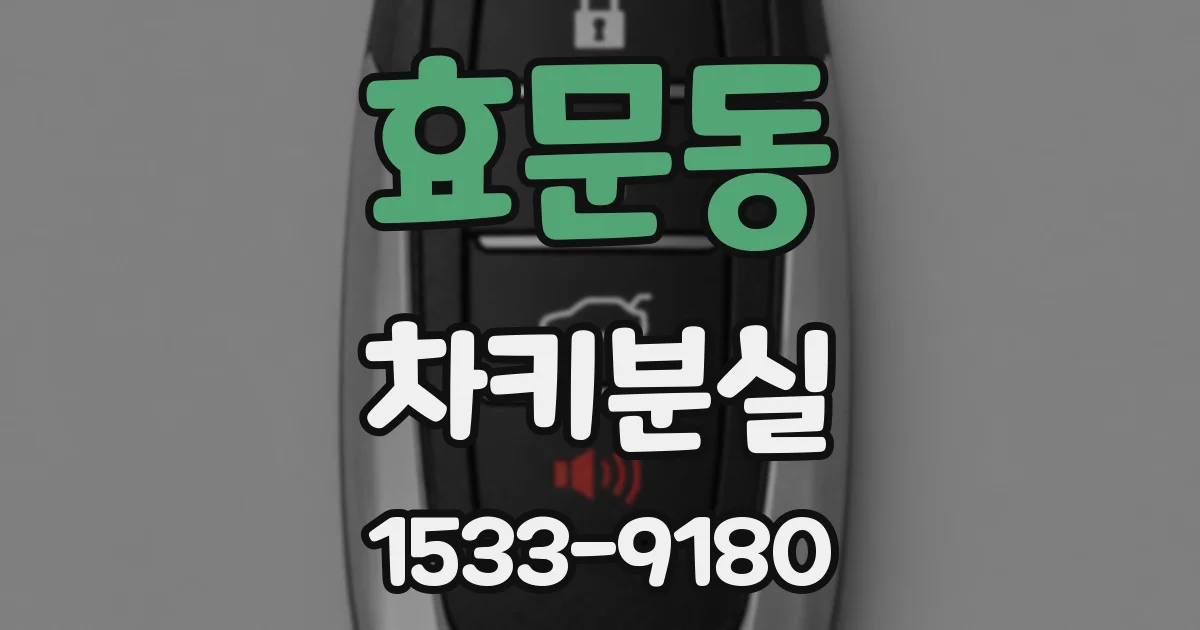 효문동 차키분실