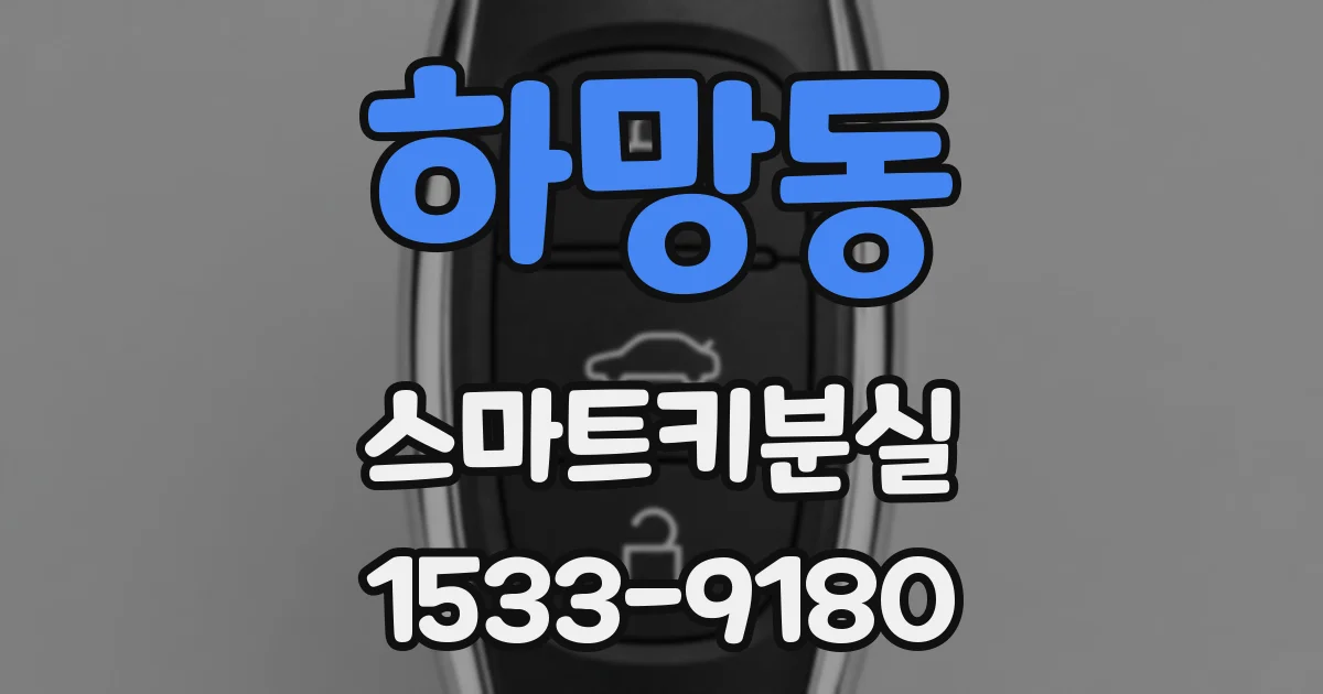 하망동 스마트키분실