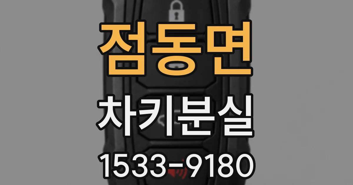 점동면 차키분실