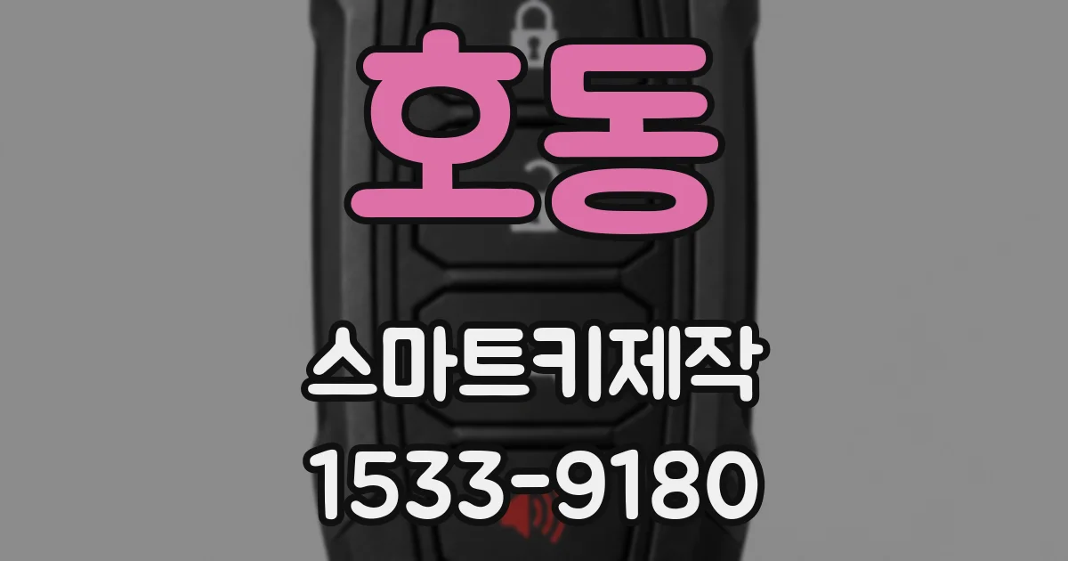 호동 스마트키제작