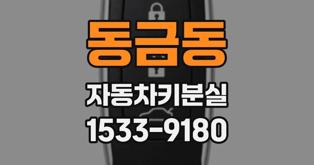 동금동 자동차키분실