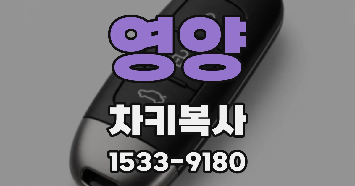 영양 차키복사