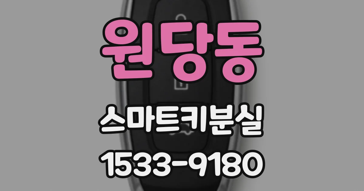 원당동 스마트키분실