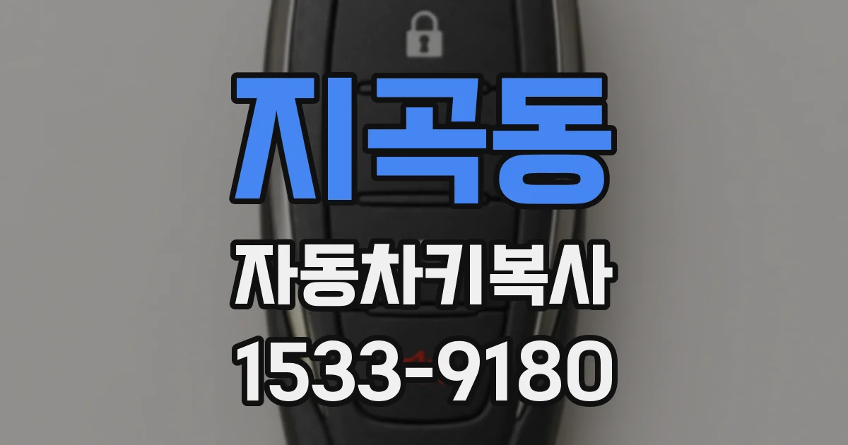 지곡동 자동차키복사
