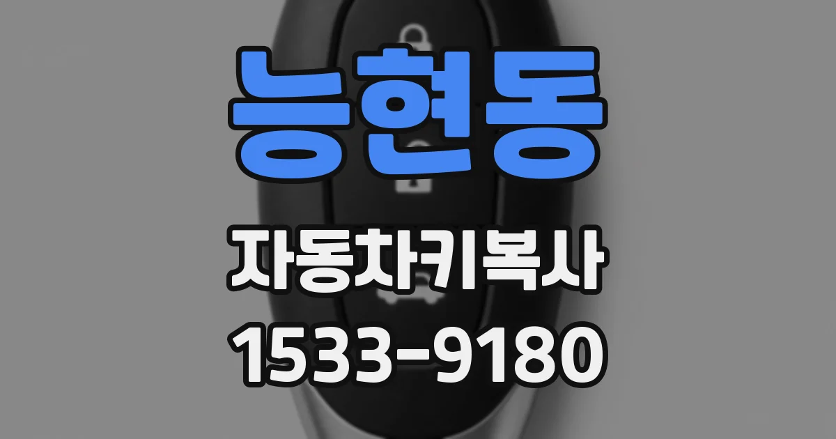 능현동 자동차키복사