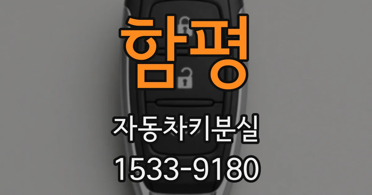 함평 자동차키분실