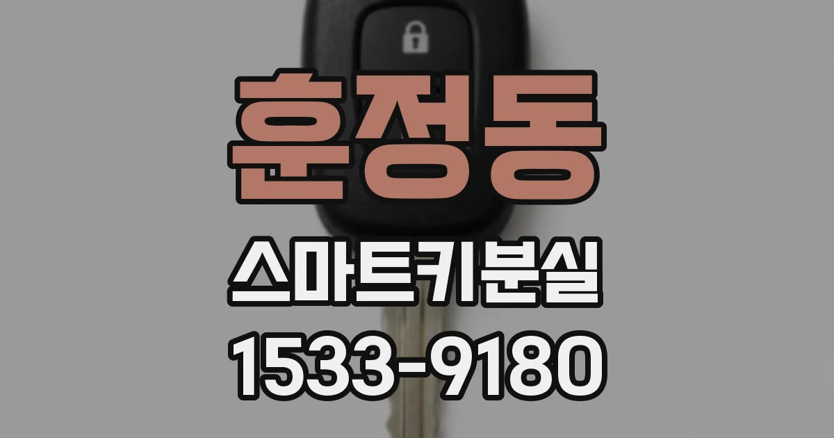 훈정동 스마트키분실
