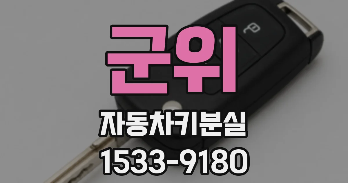 군위 자동차키분실