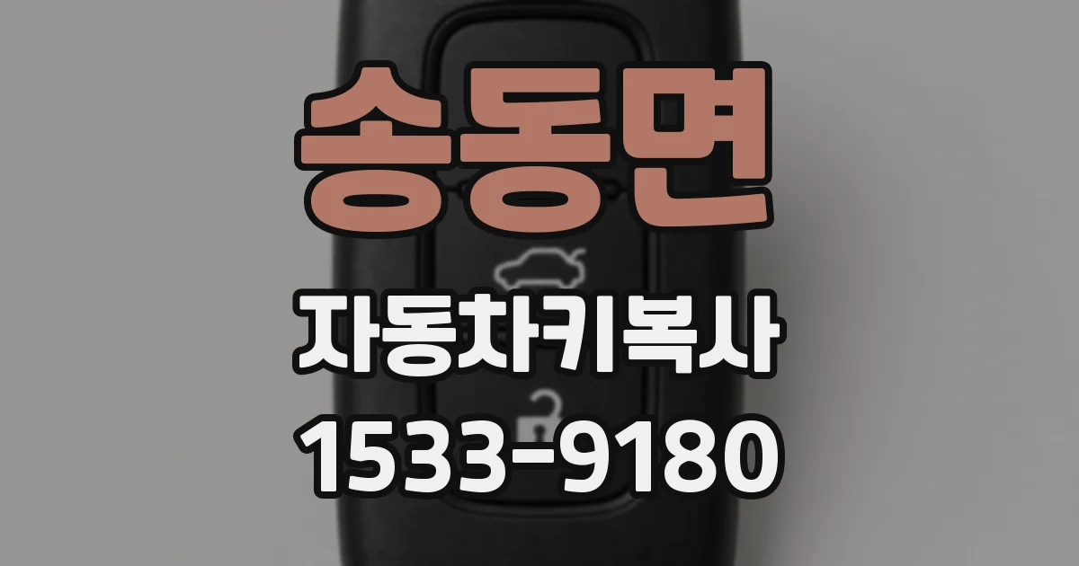 송동면 자동차키복사
