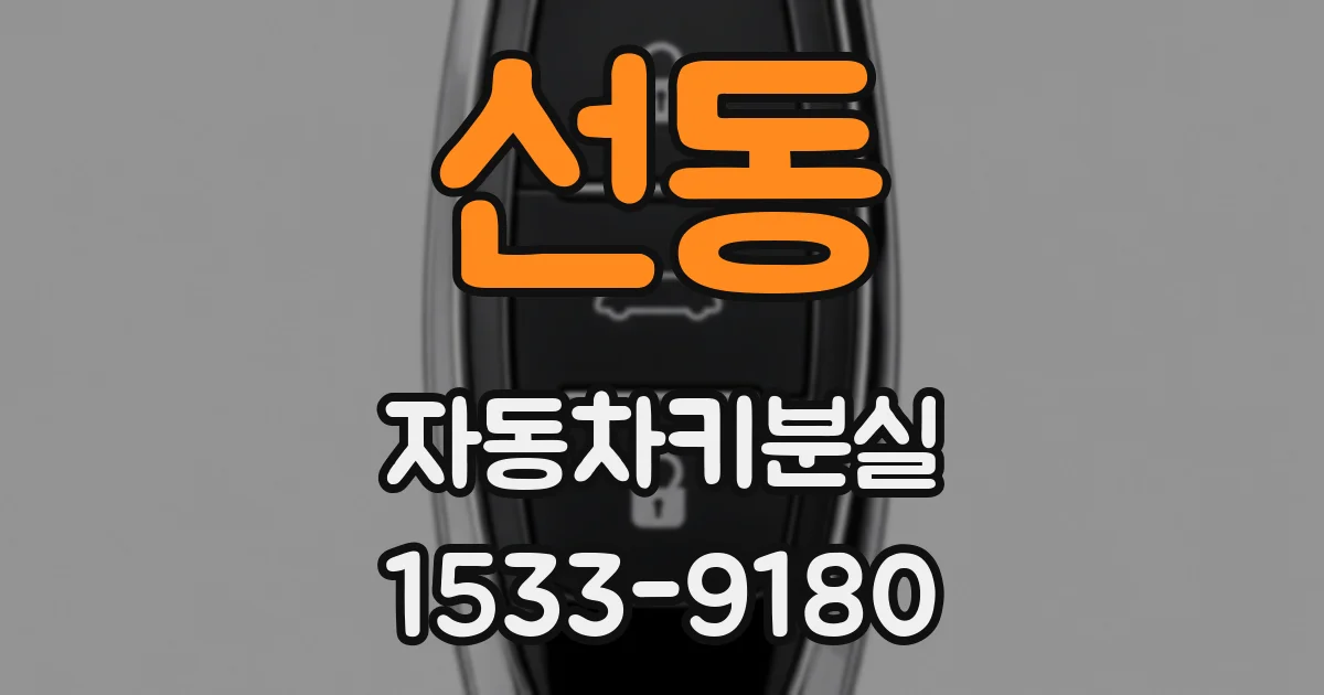 선동 자동차키분실