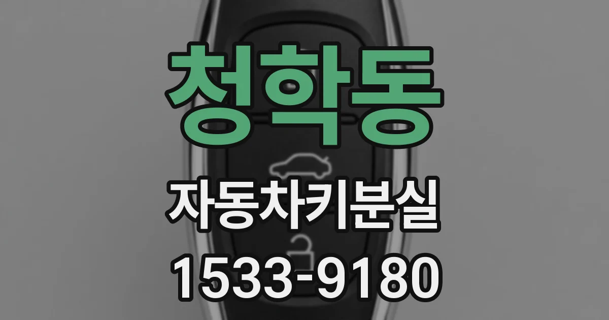 청학동 자동차키분실