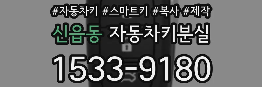 신읍동 자동차키분실