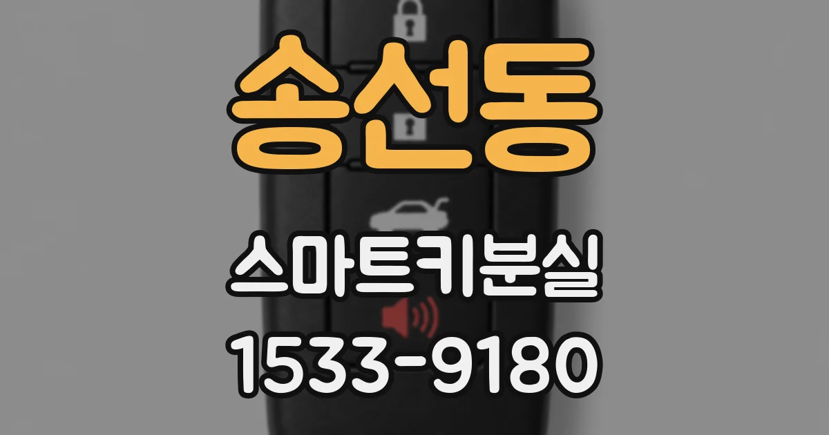 송선동 스마트키분실