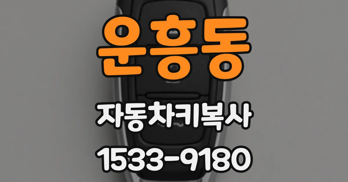 운흥동 자동차키복사