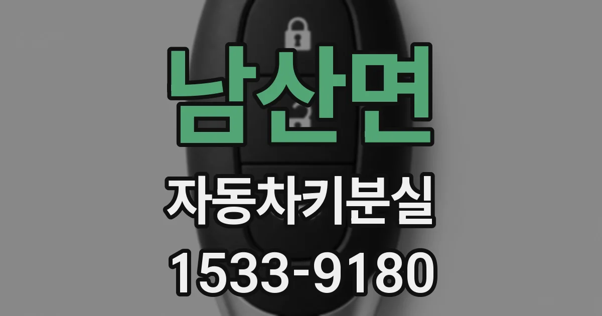 남산면 자동차키분실