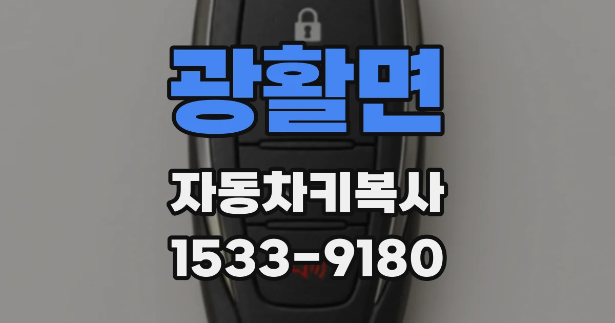 광활면 자동차키복사