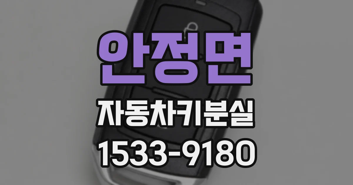 안정면 자동차키분실