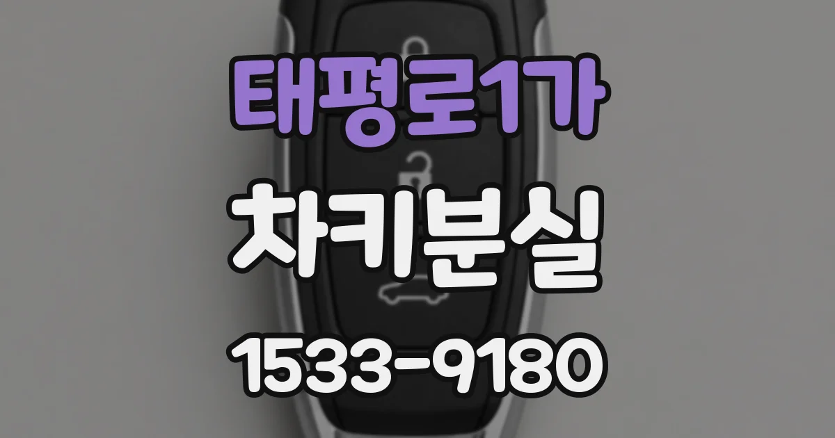 태평로1가 차키분실